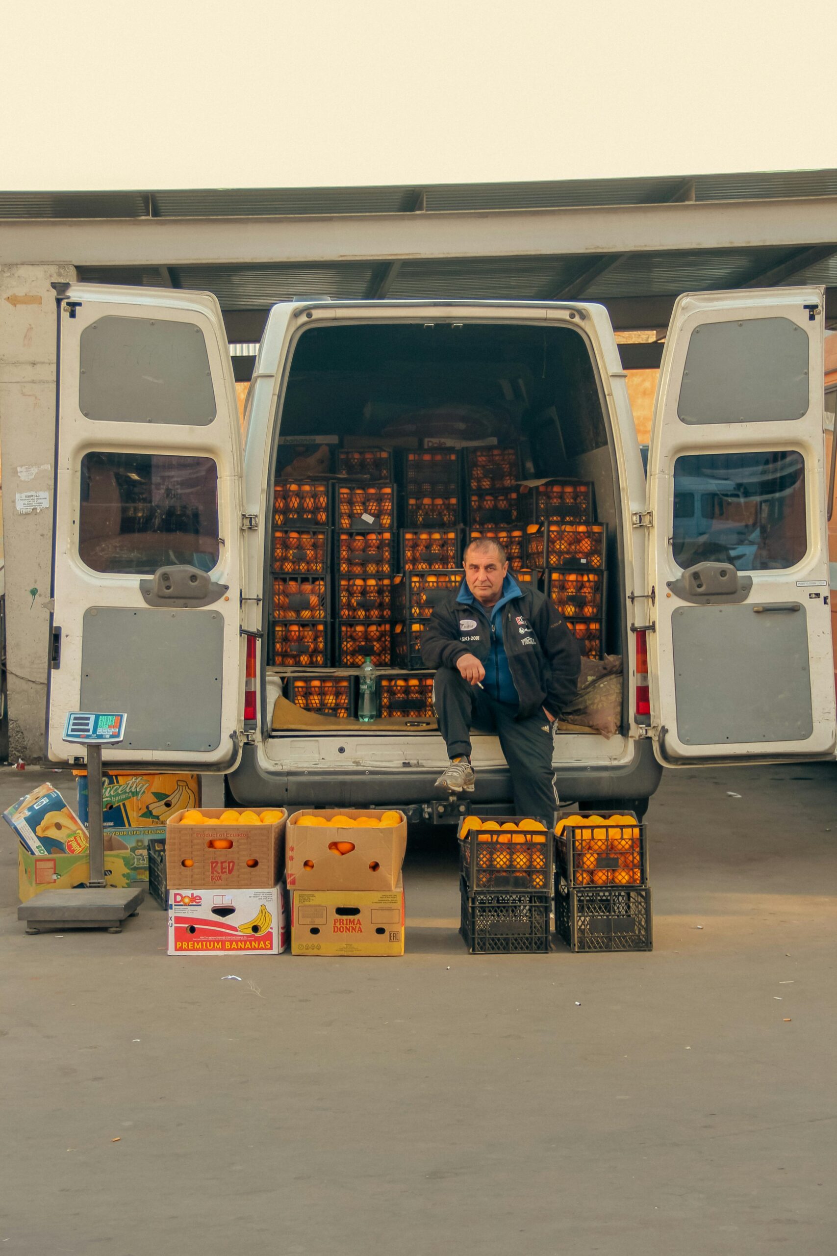 Distribución de fruta en furgoneta