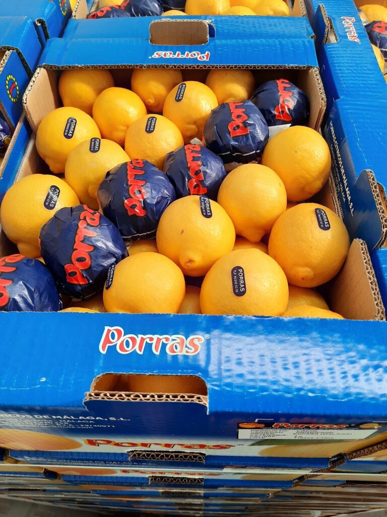 Fruta cítrica limón