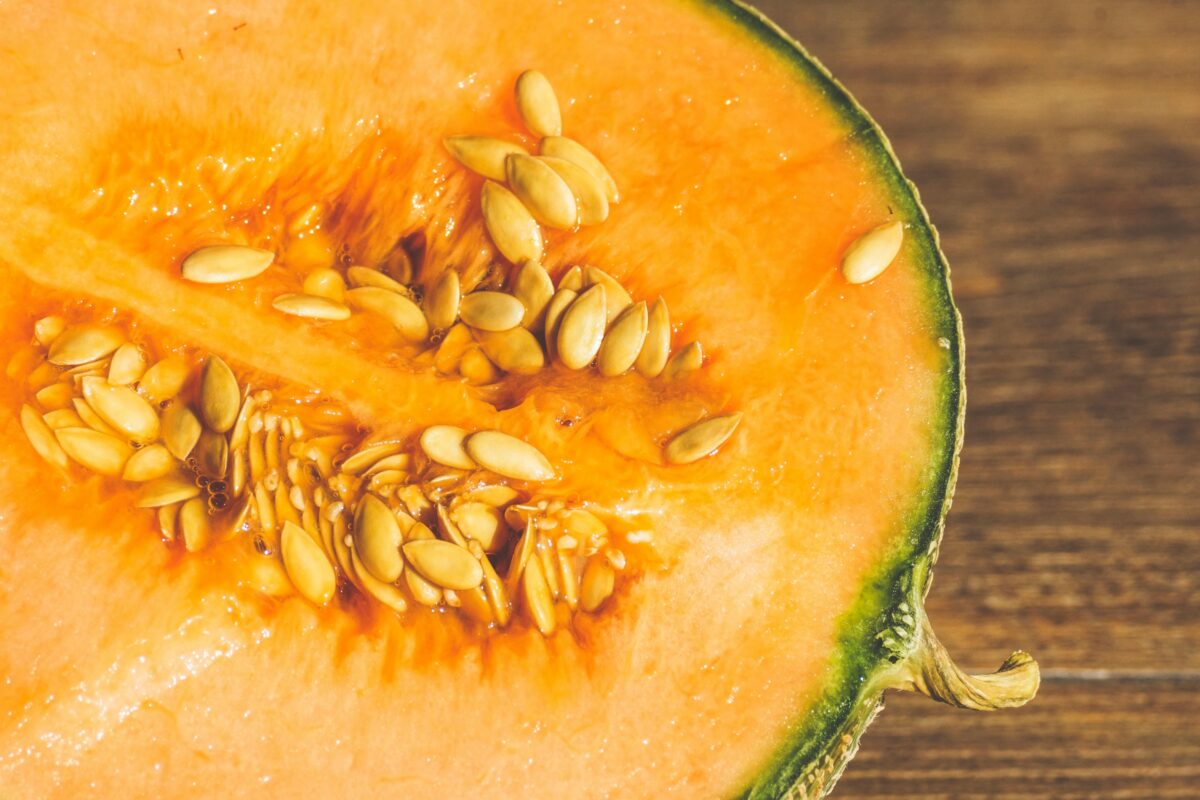 fruta y verdura melón